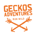 Geckos Adventures