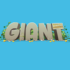 Giant Bingo