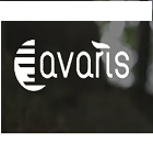 Avaris eBikes Avaris eBikes