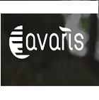 Avaris eBikes