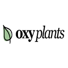 Oxy Plants Oxy Plants