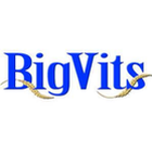 title='Bigvits'