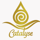 title='Catalyse