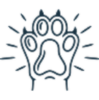 title='Naturaw'
