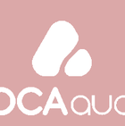 title='POCA
