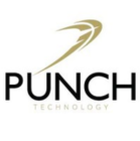 title='Punch