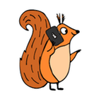 title='Squirrel