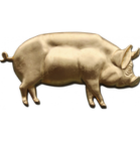 title='Pig