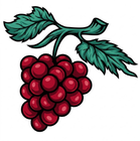title='Wine