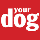 Your Dog title='Your