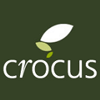 Crocus Crocus